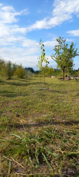 Loft en Venta en Tunuyan, Mendoza