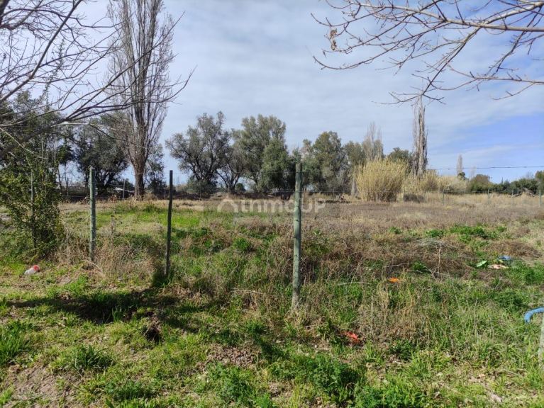 Terreno en Venta en Lujan de Cuyo, Mendoza