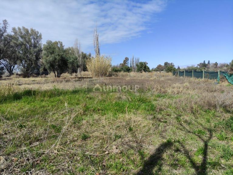 Terreno en Venta en Lujan de Cuyo, Mendoza