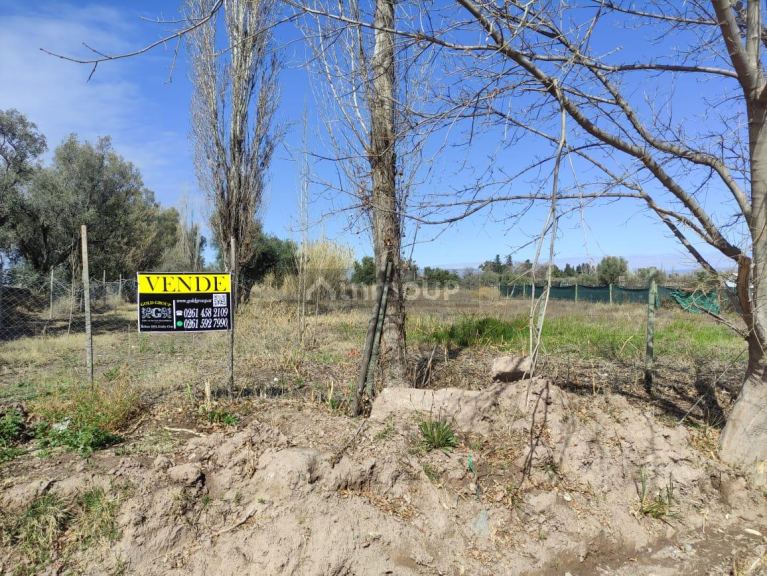 Terreno en Venta en Lujan de Cuyo, Mendoza