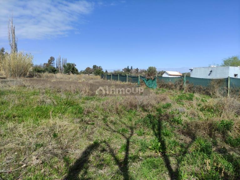 Terreno en Venta en Lujan de Cuyo, Mendoza