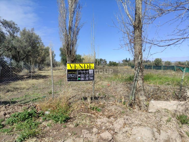 Terreno en Venta en Lujan de Cuyo, Mendoza
