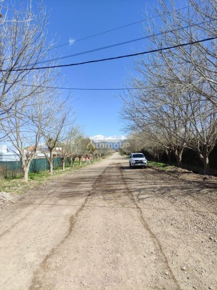 Terreno en Venta en Lujan de Cuyo, Mendoza