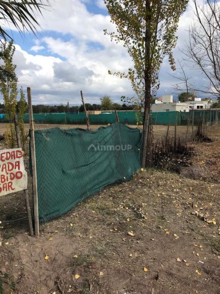 Terreno en Venta en Lujan de Cuyo, Mendoza