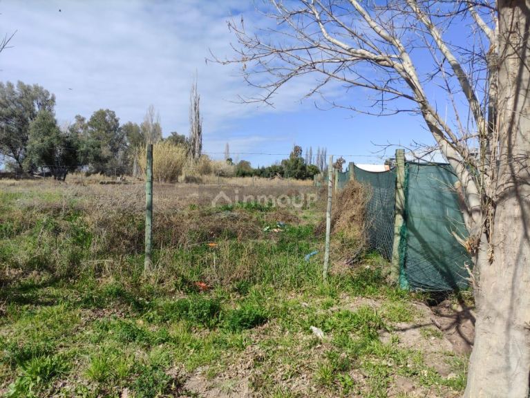 Terreno en Venta en Lujan de Cuyo, Mendoza