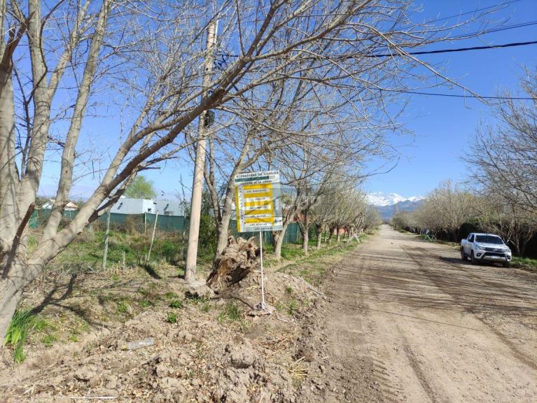 Terreno en Venta en Lujan de Cuyo, Mendoza
