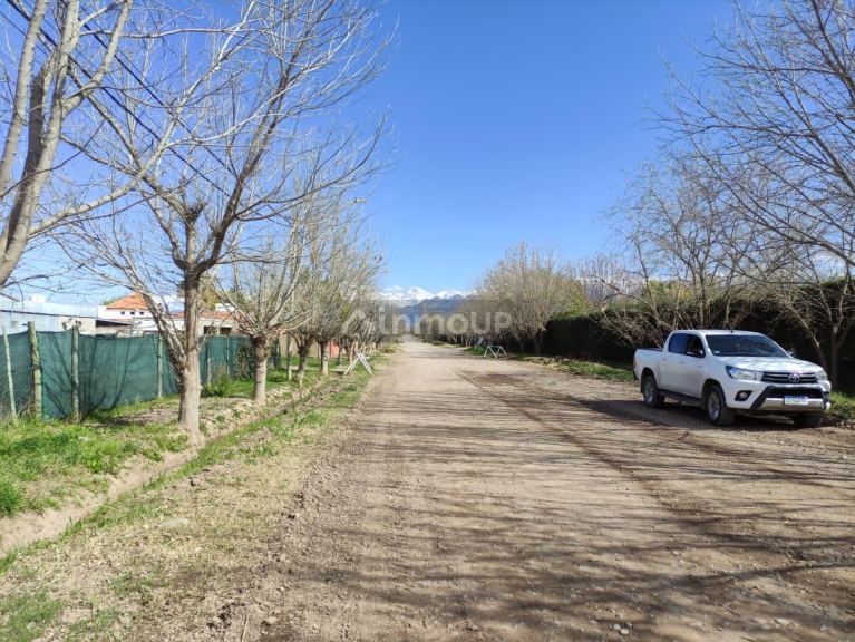 Terreno en Venta en Lujan de Cuyo, Mendoza