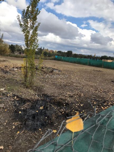 Terreno en Venta en Lujan de Cuyo, Mendoza