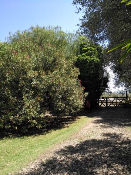 Chalet en Venta en San Rafael, Mendoza