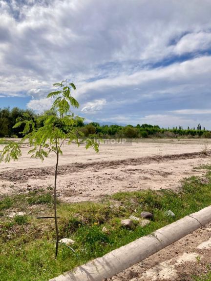 Terreno en Venta en Maipu, Mendoza