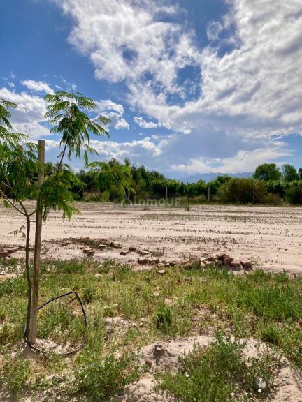Terreno en Venta en Maipu, Mendoza