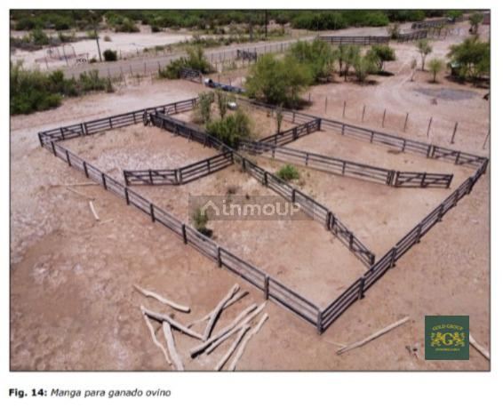 Lote en Venta en Lavalle, Mendoza