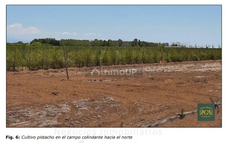 Lote en Venta en Lavalle, Mendoza