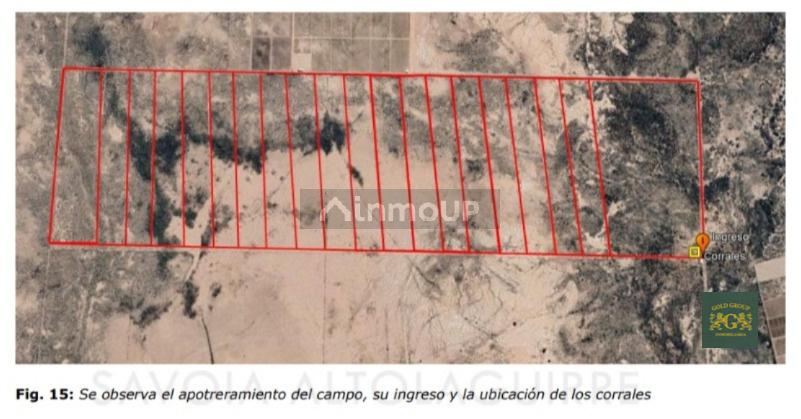 Lote en Venta en Lavalle, Mendoza