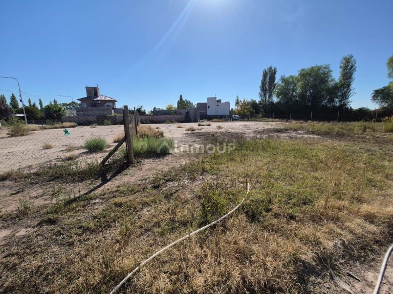 Terreno en Venta en Lujan de Cuyo, Mendoza