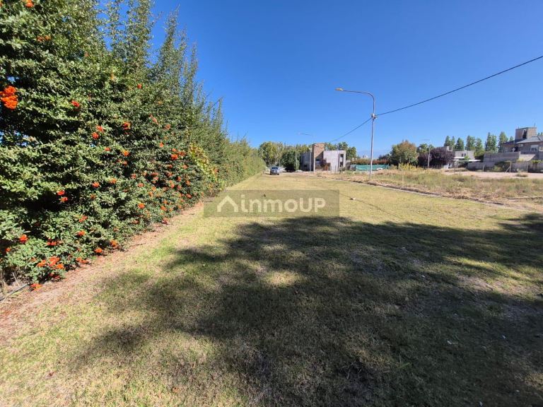 Terreno en Venta en Lujan de Cuyo, Mendoza