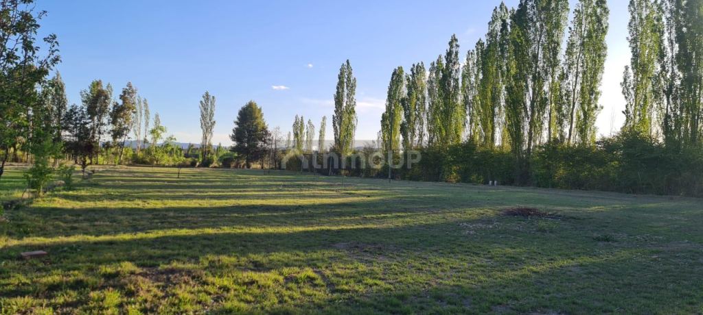Terreno en Venta en San Rafael, Mendoza