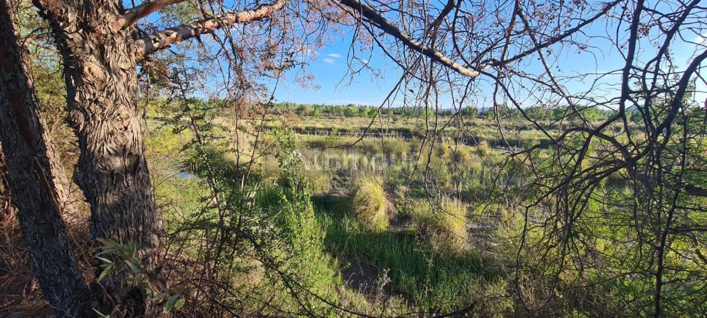 Terreno en Venta en San Rafael, Mendoza