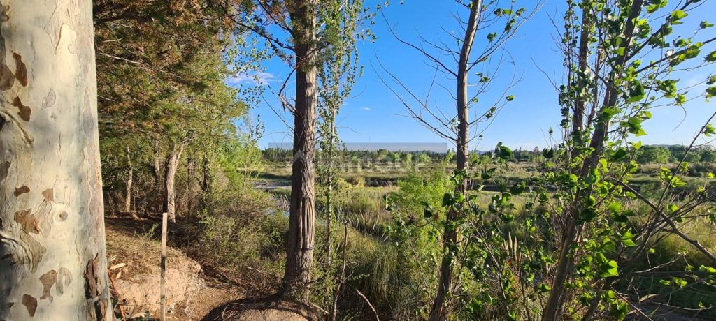 Terreno en Venta en San Rafael, Mendoza