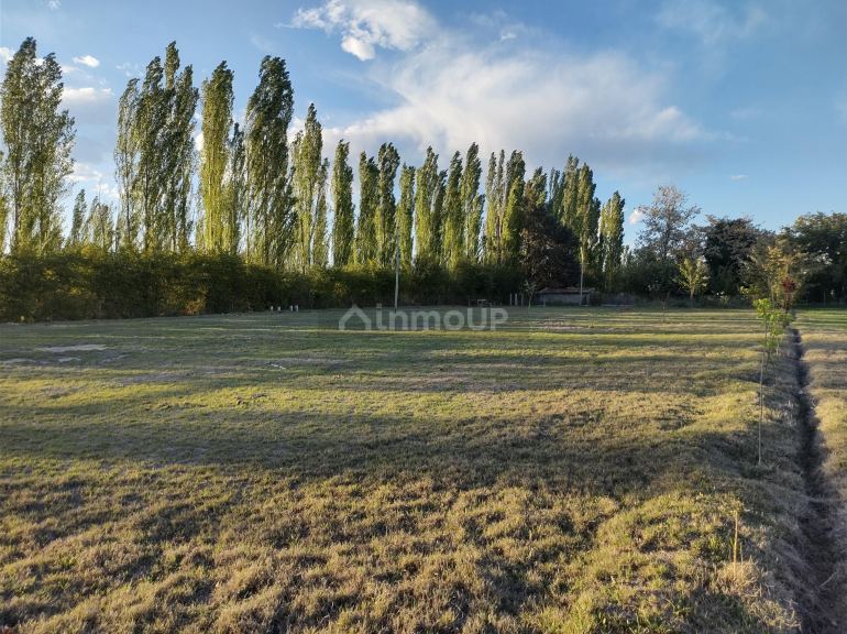 Terreno en Venta en San Rafael, Mendoza
