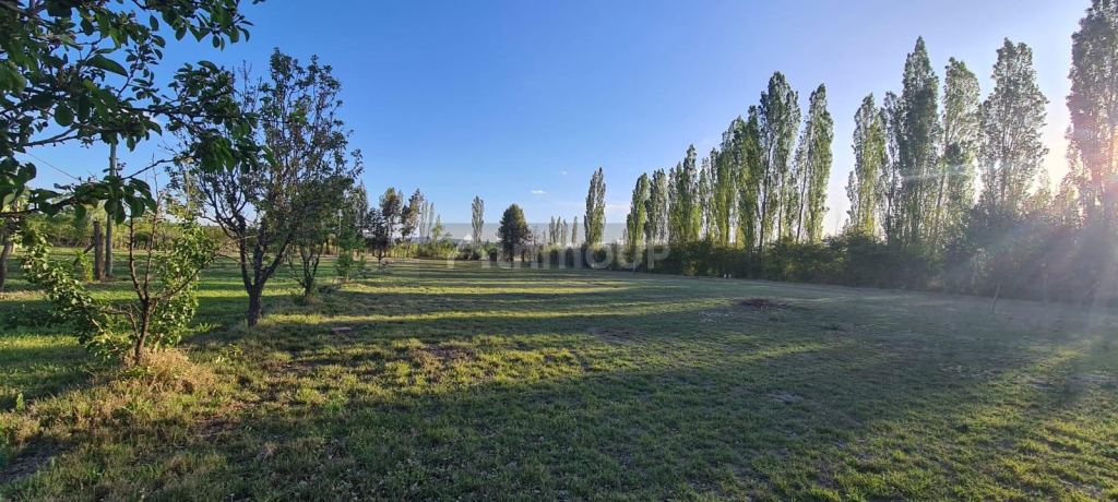 Terreno en Venta en San Rafael, Mendoza