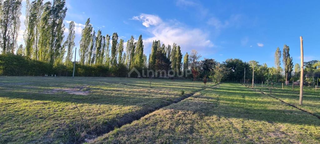 Terreno en Venta en San Rafael, Mendoza