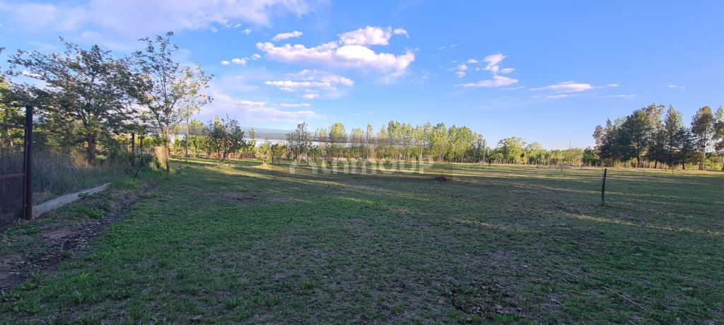 Terreno en Venta en San Rafael, Mendoza