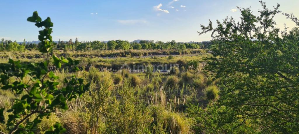 Terreno en Venta en San Rafael, Mendoza