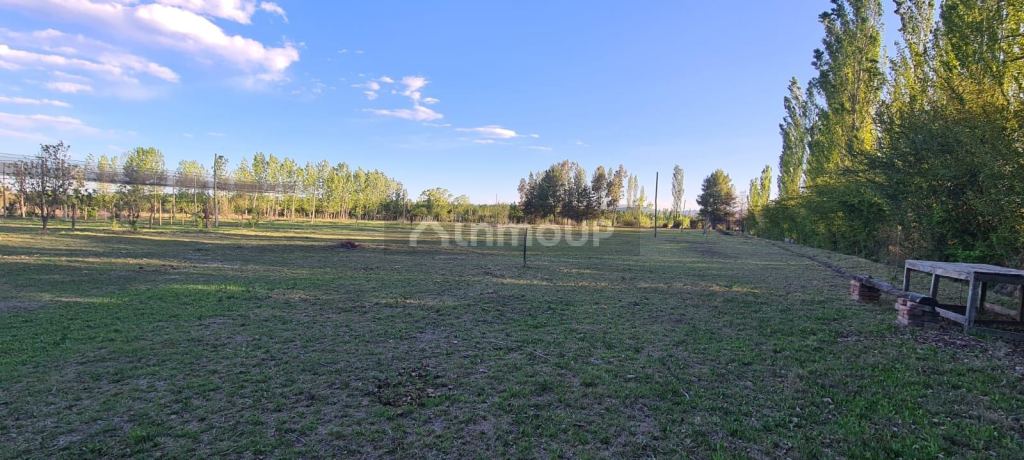Terreno en Venta en San Rafael, Mendoza