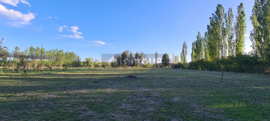 Terreno en Venta en San Rafael, Mendoza