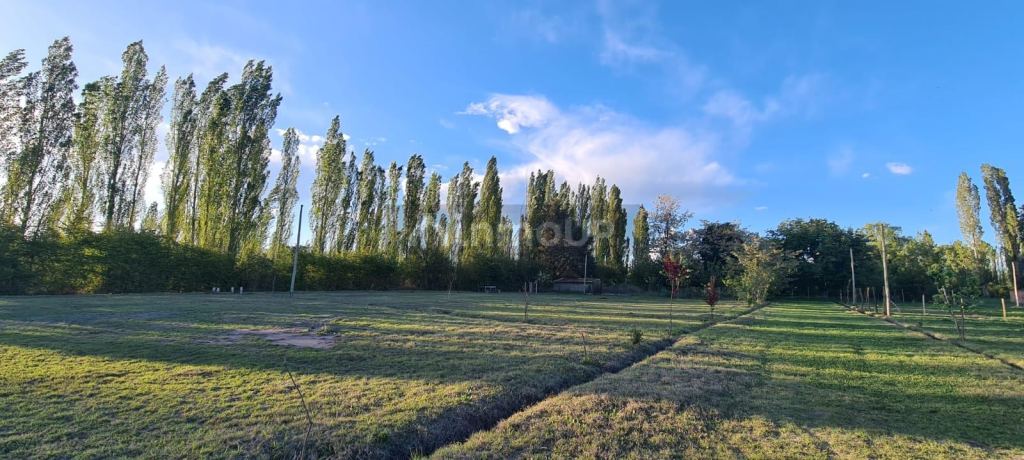 Terreno en Venta en San Rafael, Mendoza