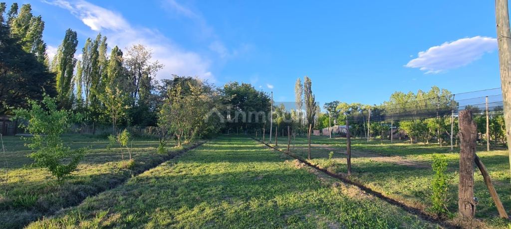 Terreno en Venta en San Rafael, Mendoza