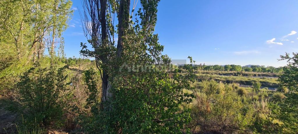 Terreno en Venta en San Rafael, Mendoza