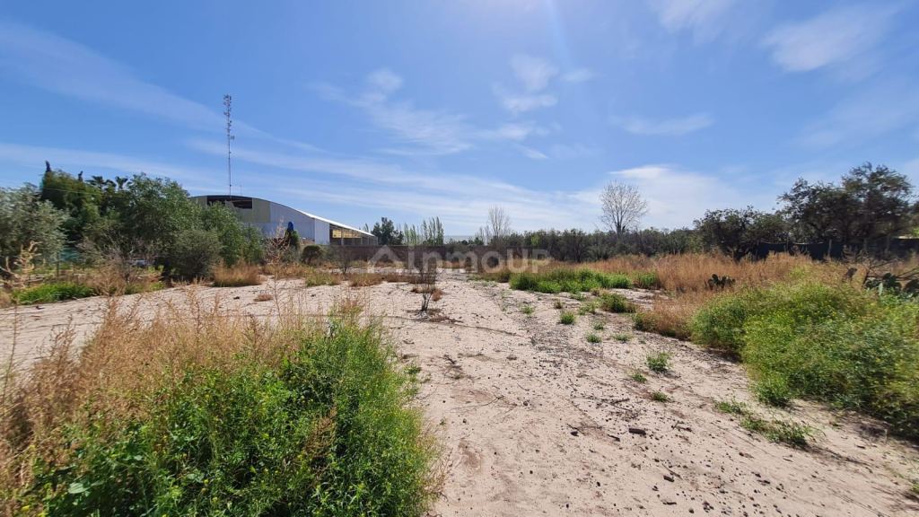 Terreno en Venta en Maipu, Mendoza