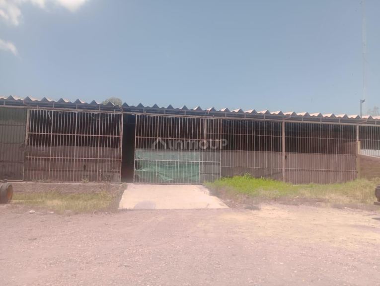 Galpon en Alquiler en Lujan de Cuyo, Mendoza