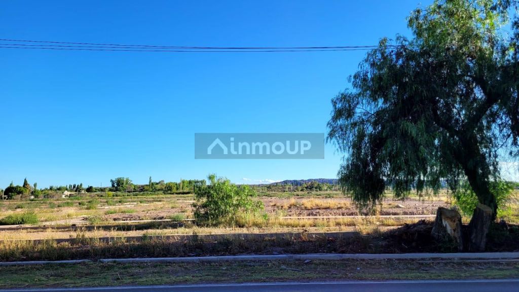Terreno en Venta en Maipu, Mendoza