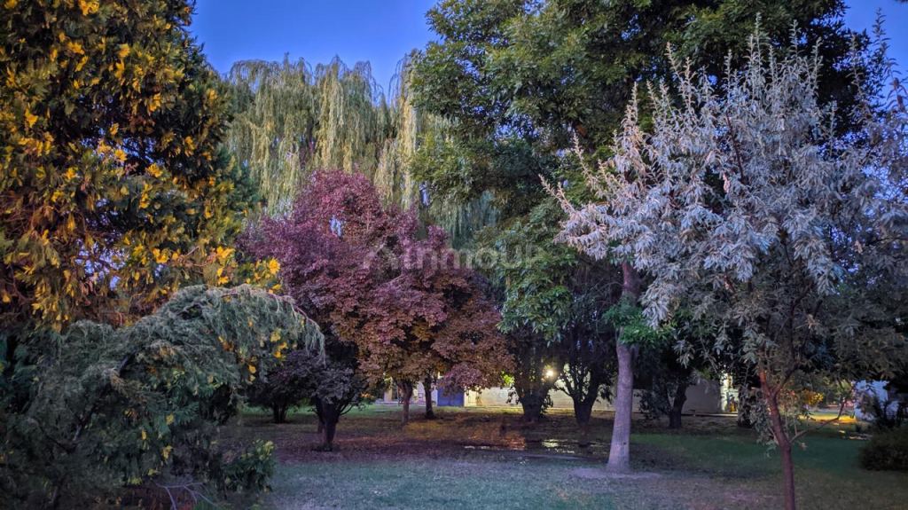 Casa en Venta en San Rafael, Mendoza