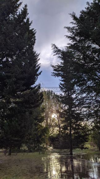 Chalet en Venta en San Rafael, Mendoza