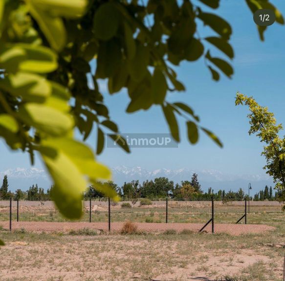 Terreno en Venta en San Martin, Mendoza