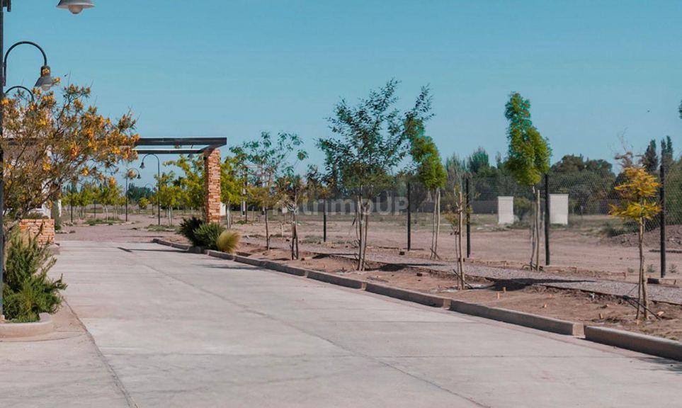 Terreno en Venta en San Martin, Mendoza