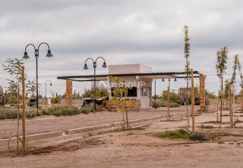 Terreno en Venta en San Martin, Mendoza