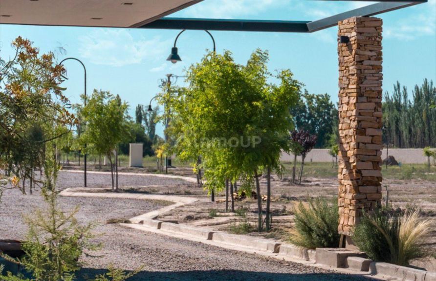 Terreno en Venta en San Martin, Mendoza