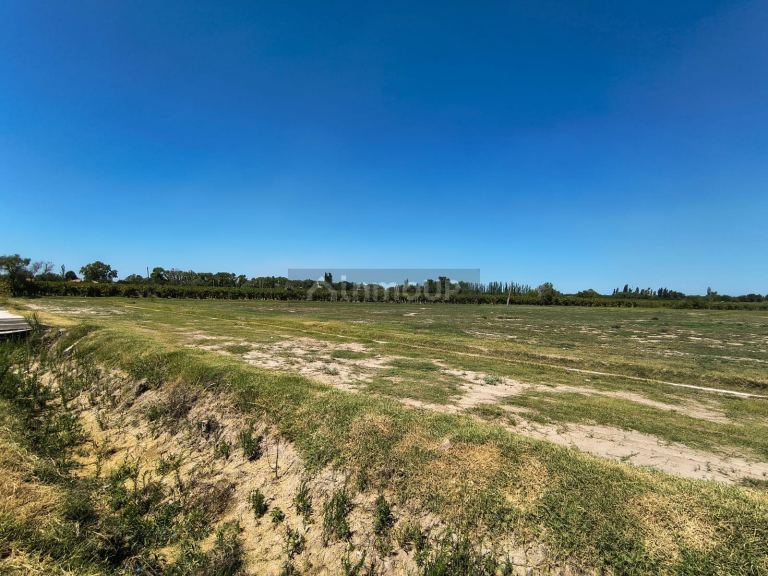 Loteo en Venta en San Martin, Mendoza