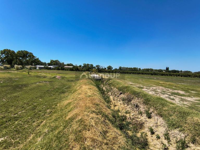 Loteo en Venta en San Martin, Mendoza