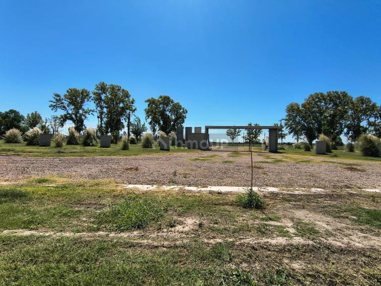 Loteo en Venta en San Martin, Mendoza