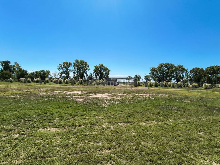 Loteo en Venta en San Martin, Mendoza