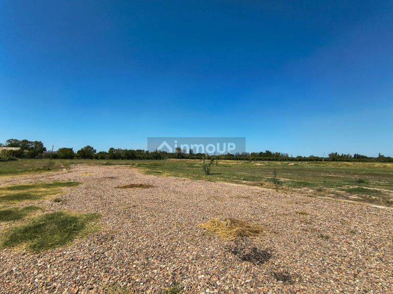 Loteo en Venta en San Martin, Mendoza