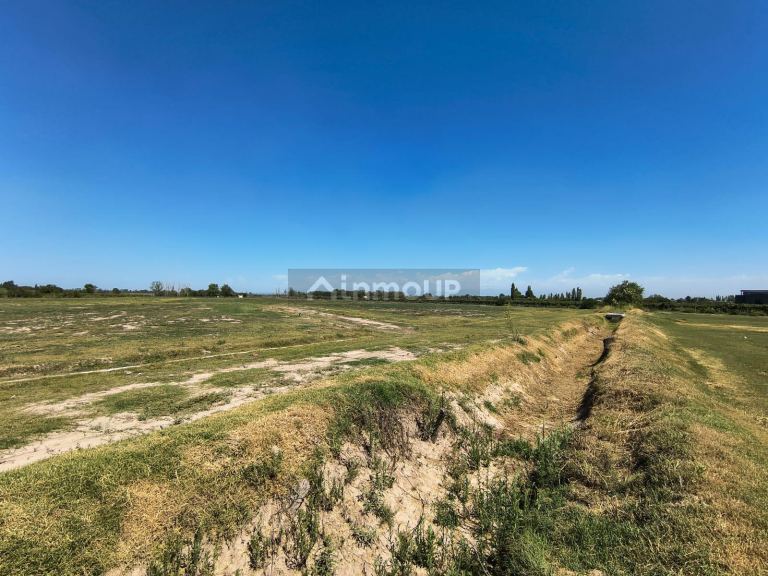 Lote en Venta en San Martin, Mendoza