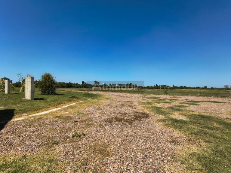 Lote en Venta en San Martin, Mendoza