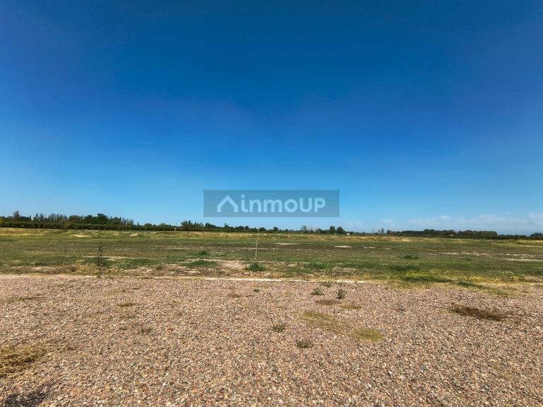 Lote en Venta en San Martin, Mendoza